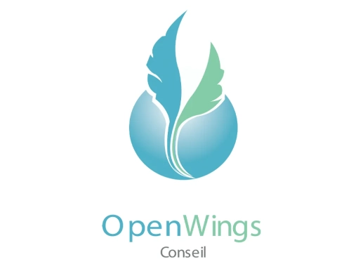 Création du Logo Open Wings